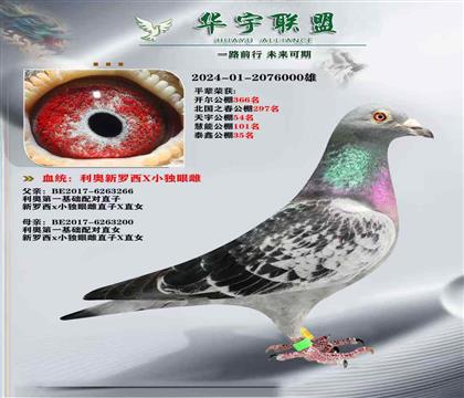 利奧 新羅西獨(dú)眼雌直孫X新羅西獨(dú)眼雌直孫女 超強(qiáng)回血