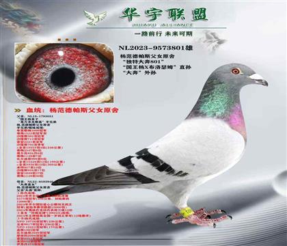 特別推薦 楊范德帕斯父女原舍 國(guó)王楊直子X(jué)大奔直女