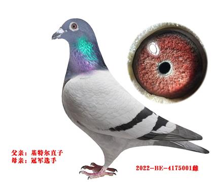 范登布克×利奧