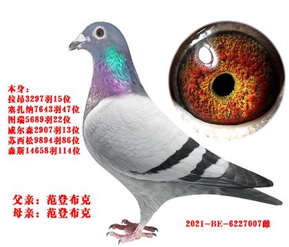 范登布克