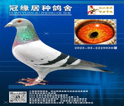 HûѪһS䌦2025-03-2229030