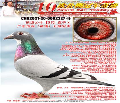피55ֱӡV|Sң܊