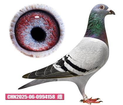 利奧-奧林匹克公主158