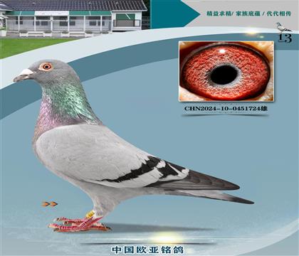 XR(zhn)ȫ(gu)܊041Xu݆̖(ho)006