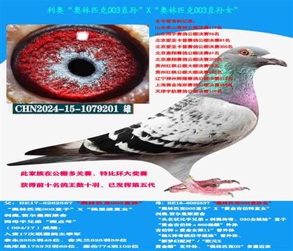 (多關(guān)賽首推)利奧賀爾曼速度種雄
