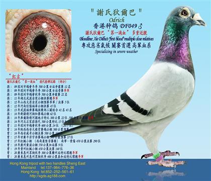 xϵҠ͡һѪؽH