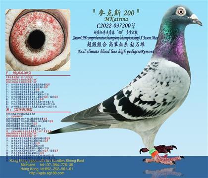 ղɭ019ؽH
