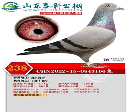 Qِ238