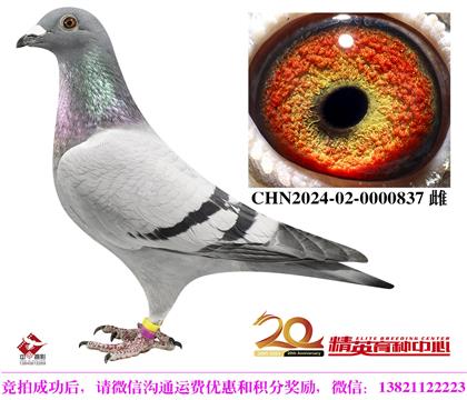 r911OŮ/ȫ܊ƽ݅