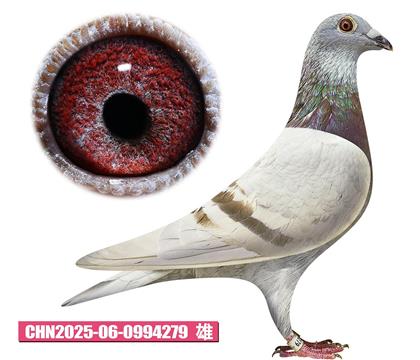ǲ-püt̖(ho)279