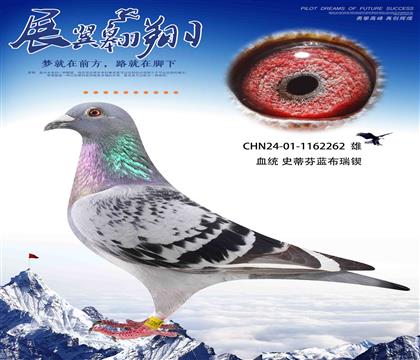 غñӑ262