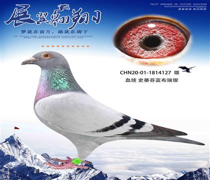   ñӑȫ127