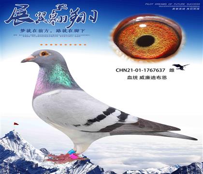ϲīƶȫֵ637