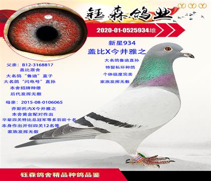 蓋比魯?shù)现睂O