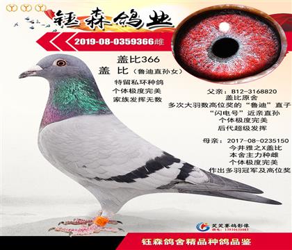 蓋比魯?shù)现睂O女