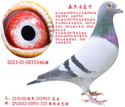 ^pɣʿ