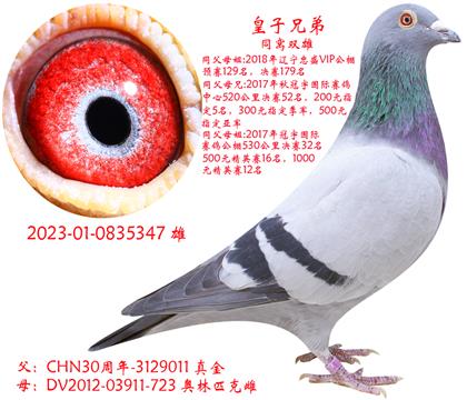 ^pֵ
