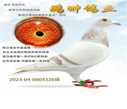 ؠHѪO