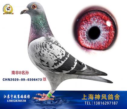 ϺL(fng)Ϸ8ֱOŮ473