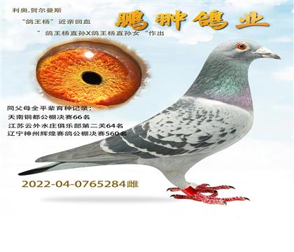 HѪ