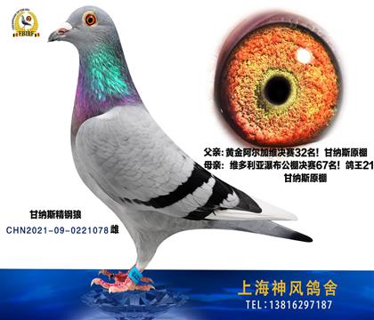 ϺL(fng)ʼ{˹078