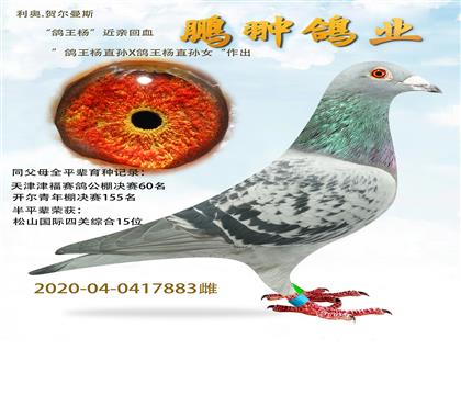 HѪ