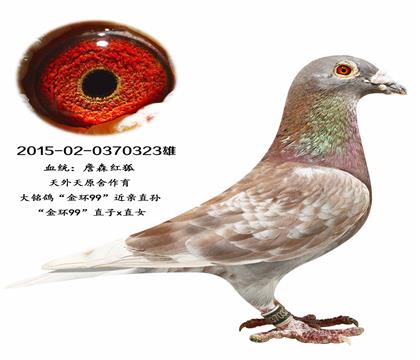 죺th(hun)99ֱֱŮ323
