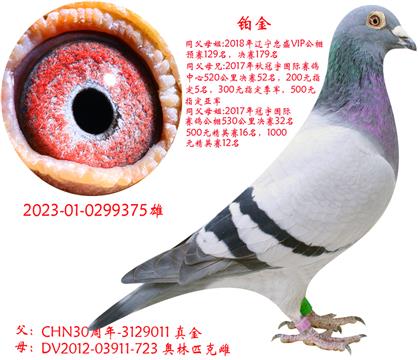 ɣʿK