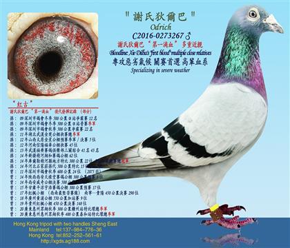 xϵҠ͡һѪؽH
