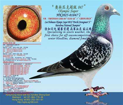 WR˹Wƥ˳(j)003XΏ(qing)̖(ho)Xِ_