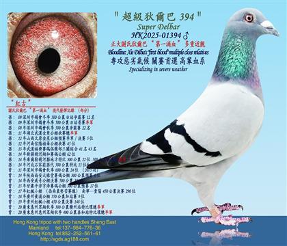 xϵҠ͡һѪؽH