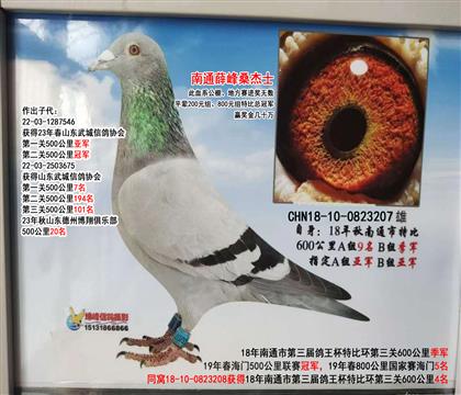 Ѧ壺ɣʿ207