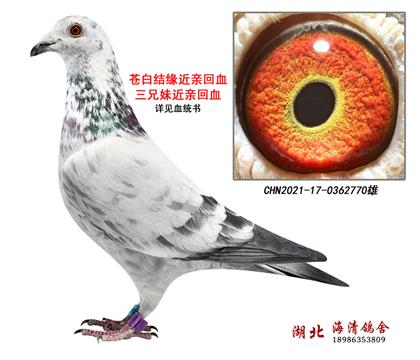 n׽Y(ji)HѪýHѪ770