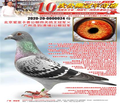 ہչP(gun)܊VݺSң܊