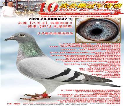 KSP(gun)pػѪKS911HѪ