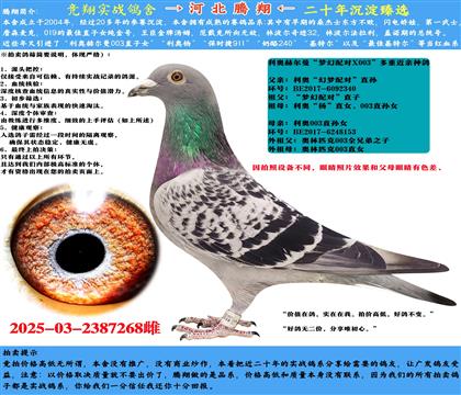 ˽h(hun)NWՠ䌦ֱOXW003ֱOŮ