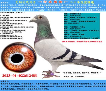 Դr911ֱXr911ֱŮ