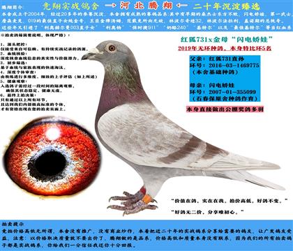 2019h(hun)N5t؂731ֱOXʯW늋޽