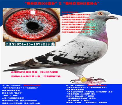 (多關(guān)賽首推)利奧賀爾曼速度種母