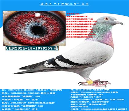 (山區(qū)地形 惡劣天氣)速度首選 桑杰士電腦二號(hào)