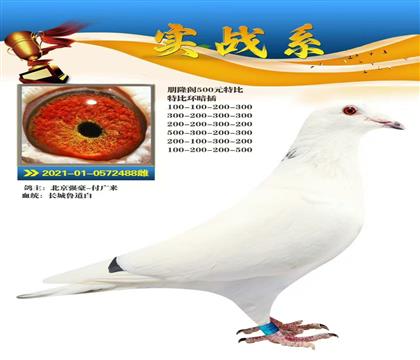 ?sh)ɭNƣ?sh)ף? width=