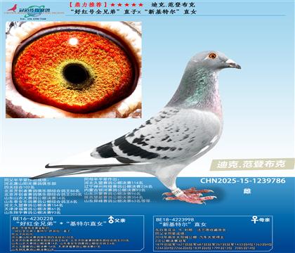 ]üt̖ȫֵܡֱx»ؠֱŮ