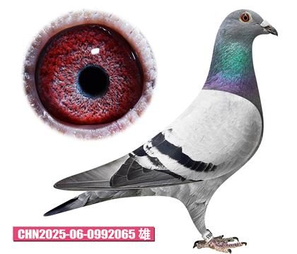 凡龍-路易公爵065