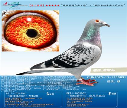 ѻؠȫֵܡѻؠȫֱֵŮ