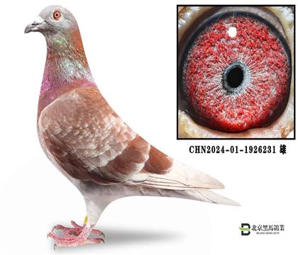 Ͽ.ǲ ܊Ѫ/üt̖(ho)ֱOŮ