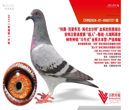 ؠ 9992 ţȮں-0063727