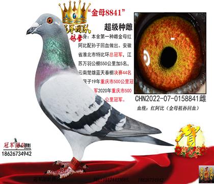 母亲一第一金母回血女儿