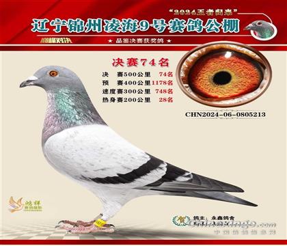 侄子之一公棚决赛74