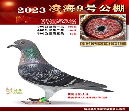 同父哥哥一公棚决赛58