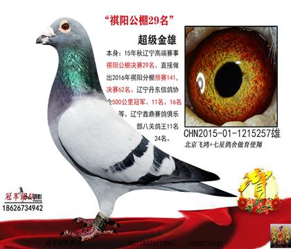 父亲一祺阳公棚决赛29名(冠军父亲)